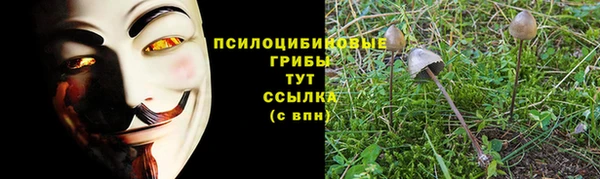 дурь Медвежьегорск