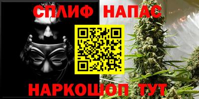 стафф Бийск
