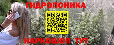 стафф Бийск