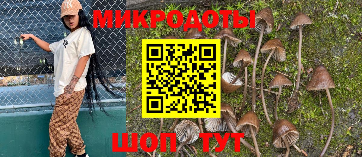 Псилоцибиновые грибы GOLDEN TEACHER  Галлюциногенные грибы Psilocybe  Вход с VPN  Саров 