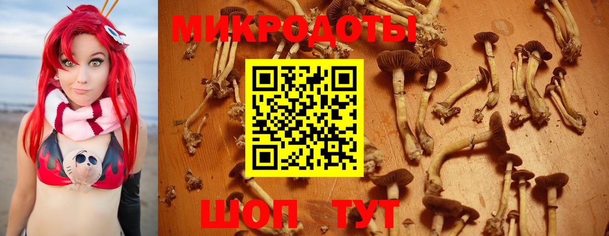 Псилоцибиновые грибы GOLDEN TEACHER  наркота  Галлюциногенные грибы Psilocybine cubensis  Саров 